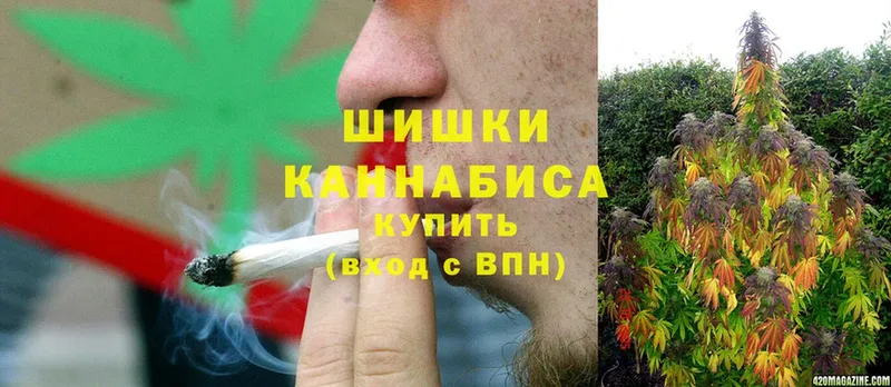 Каннабис индика  Курск 